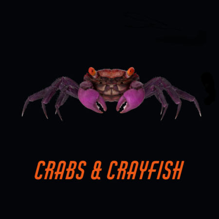 Crabs & Crayfish