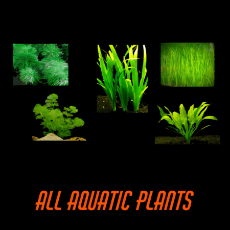 All Aquatic Plants