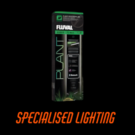 Specialised Lighting