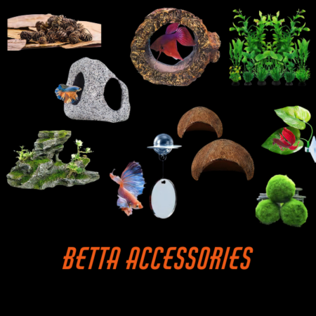 Betta Accessories