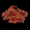 Sims Tropical Fish African Cichlid Flake Food 50G - Image 2