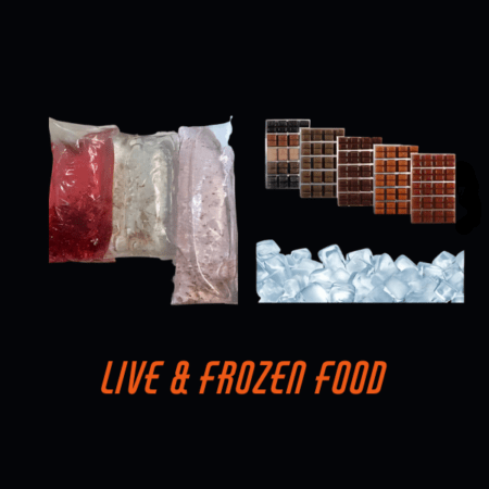 Live & Frozen Food