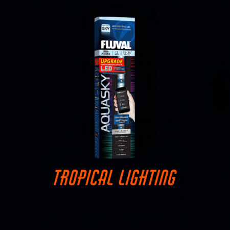 Tropical Lighting