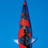 Gin Rin Grade A Koi Carp Cyprinus Carpio - Image 7
