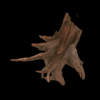 Corbo Root Stump Medium - Box of 2 pcs - Image 4