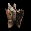 Corbo Root Stump Medium - Box of 2 pcs - Image 2