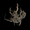 Dark Moor Wood per kg - Image 3
