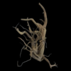 Dark Moor Wood per kg - Image 4