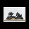 Leopard Stone Piece 2.3 - 2.7kg - Image 2