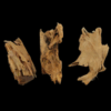 Small Driftwood 10-40cm per kg - Image 2