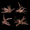 Small Driftwood 10-40cm per kg - Image 3