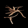 Small Driftwood 10-40cm per kg - Image 4