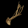 Talawa Wood per kg - Image 3