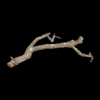Tronchos per kg - Image 3