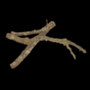Tronchos per kg - Image 2