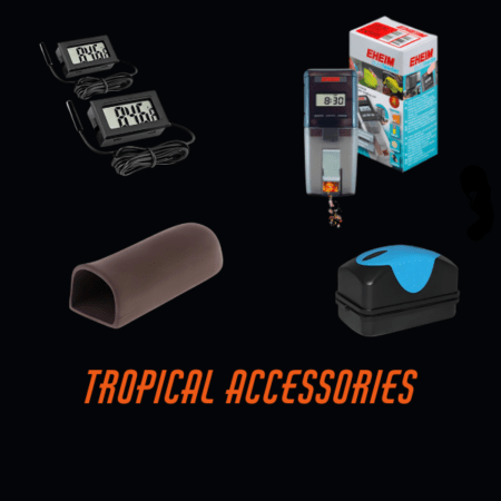 Tropical Accessories