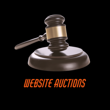 Sims Live Auctions