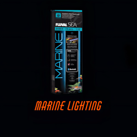 Marine Lighting