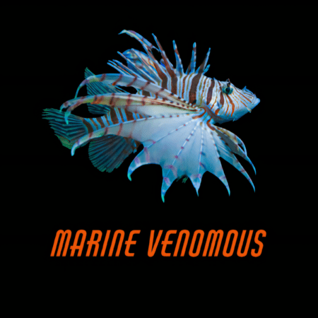 Marine Venomous