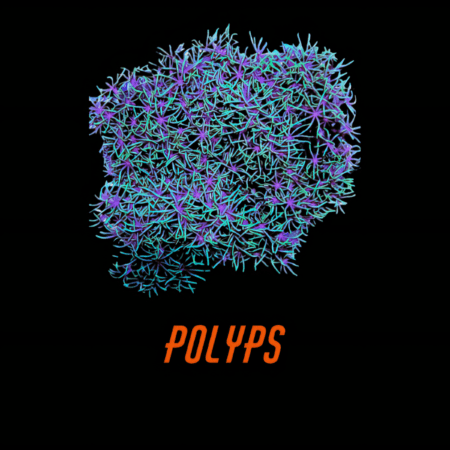 Polyps