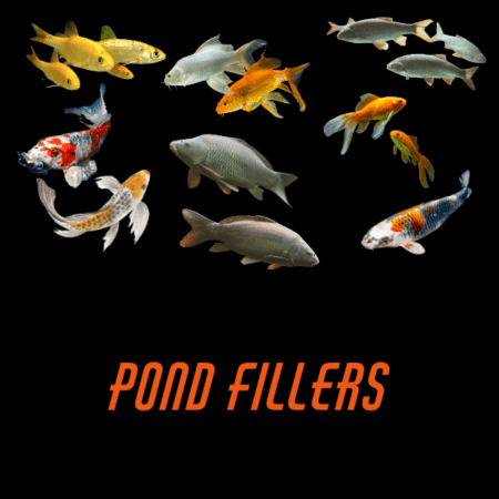 Pond Fillers