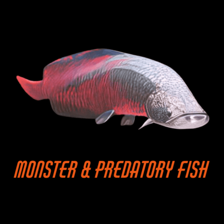 Monster & Predatory Fish