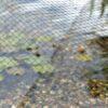 Oase Aquanet 1 - 4M X 3M - Image 3