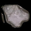 Oase Pondovac 5 Debris Bag With Strap - Image 2