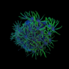 Green Star Polyp Coral Frag Goniopora Sp