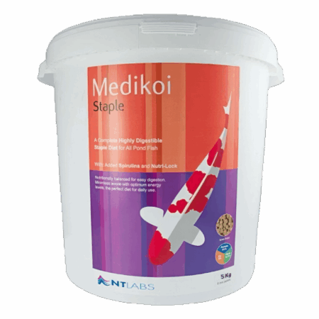 NT Labs Medikoi Staple 6mm Food 5kg