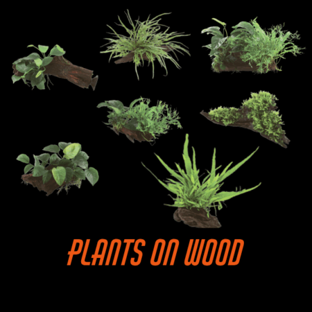 Plants on Wood