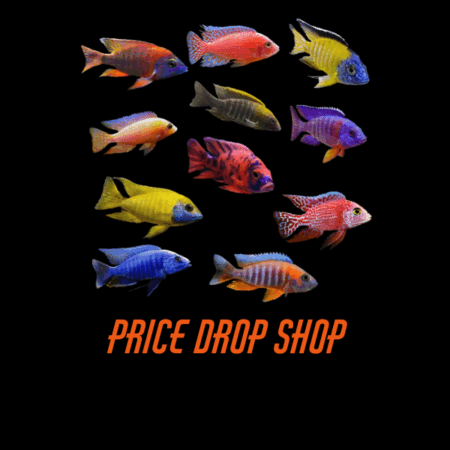 Price Drop Shop